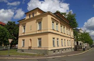 Wohnung kaufen in Alte Reichenbacher Straße, 08056 Zwickau, Attraktive, zentrumsnahe 3R.-Whg. mit großer Dachterrasse u. Stellpl.! Leerstehend