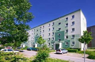 Wohnung mieten in Sarnowweg, 18528 Bergen, 3-Zimmerwohnung Bergen auf Rügen