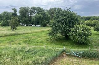 Wohnung mieten in Friedrich-Engelsstrasse, 04687 Trebsen, Traumhafte Wohnung in Neichen, naturnah, mit direktem Blick auf die Mulde, mit Garten, Garage