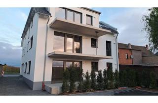 Wohnung mieten in 53347 Alfter, Elegante, sehr helle und freundliche Neubauwohnung- 3-Zimmer mit Balkon im 1. OG in Alfter, Bahnnähe