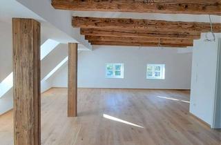 Wohnung mieten in Sebastian-Bauer-Straße, 81737 München, ++ WOHNEN direkt am (Hachinger) BACH und am schönen Pfanzeltplatz ++