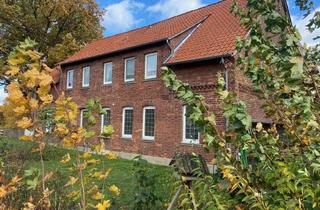 Wohnung mieten in Am Stintmarkt, 29525 Uelzen, Provisionsfrei: frisch renovierte, großzügige Wohnung in Masendorf zu vermieten