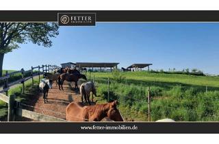 Haus kaufen in 67681 Wartenberg-Rohrbach, Reitanlage in Rheinland-Pfalz – moderner Aktivstall im Donnersbergkreis!