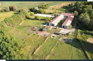 Haus kaufen in 23968 Hohenkirchen, Traumhafter Resthof: 4 Wohneinheiten, Stall bis zu 12 Boxen mit eigenem Reitplatz in Hohenkirchen