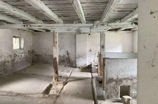 Haus kaufen in 02894 Vierkirchen, Charmanter 3 Seitenhof in der Oberlausitz mit Potenzial