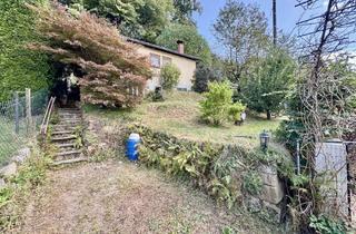 Haus kaufen in 01796 Struppen, Wochenendgrundstück mit massivem Gartenhaus und kleinem Wäldchen!