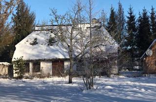 Haus mieten in 18569 Ummanz, Altes Riethaus, 100 qm, Glasfaser