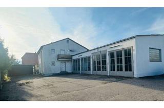Büro zu mieten in 84109 Wörth, Seltenes Fundstück! Büro + Halle / Werkstatt inkl. Keller/ Lager = ges. ca. 380 m2 in Wörth a.d.I