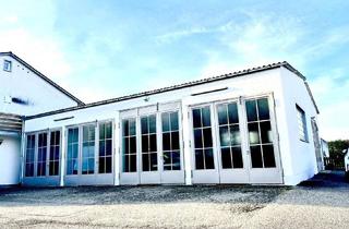 Büro zu mieten in 84109 Wörth, Seltenes Fundstück! Büro + Halle / Werkstatt inkl. Keller/ Lager = ges. ca. 380 m2 in Wörth a.d.I