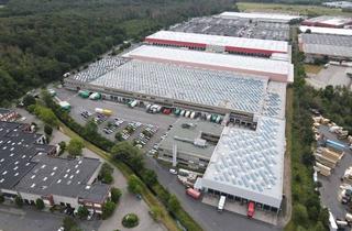Gewerbeimmobilie mieten in 63110 Rodgau, Provisionsfrei | ca. 6.800 m² Lagerfläche - teilbar | Rampen + ebenerdig