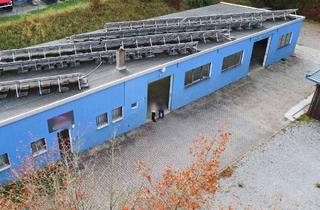 Gewerbeimmobilie mieten in 74706 Osterburken, Direkte Autobahnanbindung | KFZ-Werkstatt, Glaserei oder Industrie-/Produktionshalle