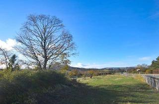 Grundstück zu kaufen in 38871 Darlingerode, Großzügiges Grundstück sucht neue Eigentümer...