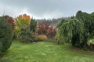 Grundstück zu kaufen in Niederrotweil 42, 79235 Vogtsburg, Baugrundstück mit über 1.000 m²