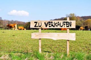 Grundstück zu kaufen in 30826 Garbsen, Osterwald O.E.Grundstück für Ihr EFH oder DHH