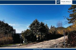 Grundstück zu kaufen in 79410 Badenweiler, Baugrundstück in begehrter Hanglage