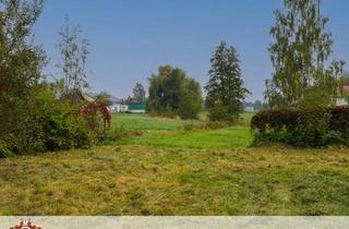 Grundstück zu kaufen in 84155 Bodenkirchen, Idyllisches Grundstück in Bodenkirchen-Hilling – Ihr Platz für Ruhe, Natur und Freiheit