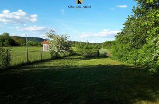 Grundstück zu kaufen in 72119 Ammerbuch, Vielfältiges Gartengrundstück in Altingen–991 m² für Naturgenuss, Gartenfreude und kreative Projekte