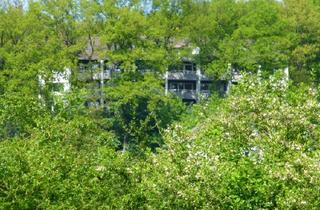 Wohnung mieten in Am Wittberge 16, 58515 Lüdenscheid, Lüdenscheid - 2 Zimmer, Kochnische, Dusch-Bad, Loggia.......Junggesellen-Wohnung