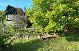 Reihenhaus kaufen in 72116 Mössingen, Mössingen - Reihenhaus mit Ausblick, ELW, 2 Garagen + 1 PKW Stellplatz