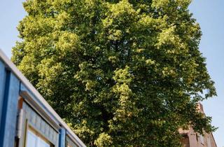 Wohnung kaufen in Dietzgenstraße 16, 13156 Niederschönhausen, Charmante 2-Zimmer-Wohnung in Berlin-Niederschönhausen (Pankow)