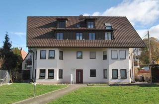 Wohnung kaufen in 79426 Buggingen, Sonnige Erdgeschosswohnung mit Gartenfeeling