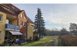 Wohnung mieten in Kaiser Friedrich Str 121, 14469 Eiche, 2 Zi, Balkon, ruhig, Potsdam Eiche