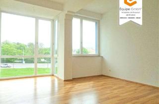 Wohnung mieten in Gerhart Hauptmann Straße 1 / 1a, 01219 Seevorstadt-Ost/Großer Garten, Helle, zentrumsnahe 2-Raumwohnung direkt am großen Garten!