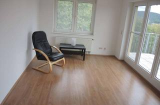 Wohnung mieten in 31162 Bad Salzdetfurth, Sonnige 2-3-Zimmer Dachgeschosswohnung mit Terrasse