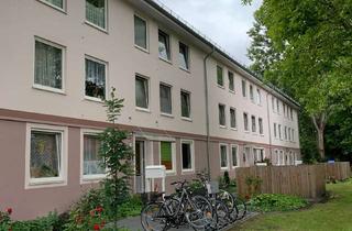 Wohnung mieten in Plaggenhau 31, 26135 Osternburg, Schöne 3-Zimmer-Wohnung in Osternburg ab 16.01.2026