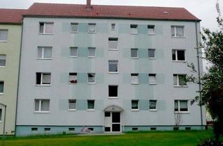 Wohnung mieten in August-Bebel-Straße 54, 04668 Grimma, Helle 3-Raumwohnung mit Dusche