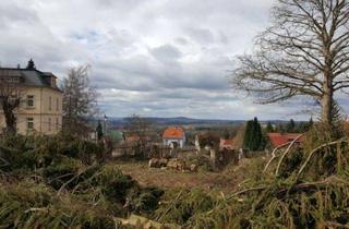 Grundstück zu kaufen in 01833 Stolpen, Parkanlage für 1-2 kleinere Mehrfamilienhäuser in 01833 Stolpen