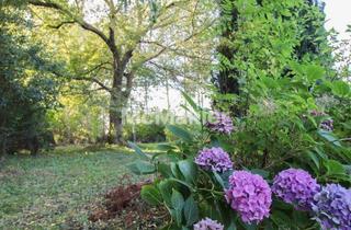 Grundstück zu kaufen in 18469 Velgast, Grundstück in Velgast – Idyllische Lage mit Obstbäumen