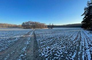Grundstück zu kaufen in 15345 Altlandsberg, Investition in die Zukunft: Entwicklungsgrundstück vor den Toren der Hauptstadt