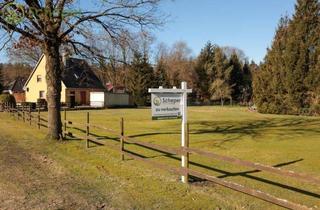 Grundstück zu kaufen in 27432 Hipstedt, Ihr Traum vom Wohnen in Hipstedt – Zwei Bauplätze mit Weitblick