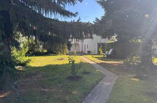 Haus kaufen in 04821 Brandis, Brandis: zentral und blickgeschützt Wohnen | große, hohe Garagen | toller Gartenbungalow