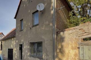 Haus kaufen in 39444 Hecklingen, Klein, günstig, ehrlich – dein Projekt für den Feierabend!