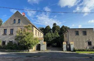Haus kaufen in 04758 Oschatz, Dieser Hof ist eine kreative Oase !