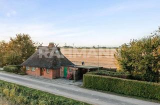 Haus kaufen in 25724 Schmedeswurth, De Lütte