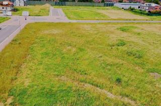 Grundstück zu kaufen in 76467 Bietigheim, Einzigartige Gelegenheit in Bietigheim - 302qm Bauplatz im Baugebiet Birkig