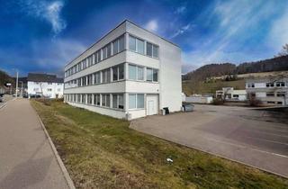 Gewerbeimmobilie kaufen in 72461 Albstadt, Vielseitiges Gewerbegebäude - optimale Anbindung