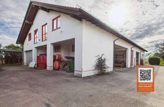 Gewerbeimmobilie kaufen in 86949 Windach, Große Lagerhalle mit 188 qm Büro und Tiefgarage in Windach