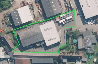 Büro zu mieten in 47652 Weeze, Weeze: Flexibel. Vielseitig. Vermietung jetzt frei: Gewerbehalle mit Büros