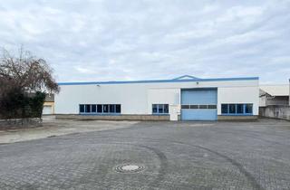 Büro zu mieten in 47652 Weeze, Weeze: Flexibel. Vielseitig. Vermietung jetzt frei: Gewerbehalle mit Büros