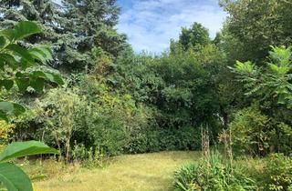 Grundstück zu kaufen in 16341 Panketal, PROVISIONSFREI UND LOHNENDES INVESTMENT | 1.824 m² Grundstück mit viel Potenzial für Ihr Eigenheim!