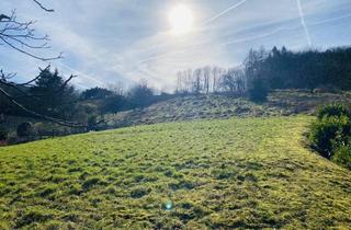 Grundstück zu kaufen in 63808 Haibach, Baugrundstück in Bestlage von Haibach – mit malerischem Fernblick! Marktgerecht neu kalkuliert!