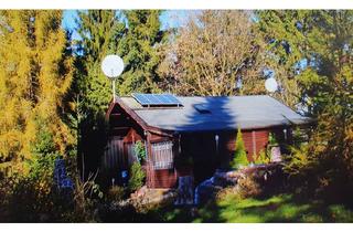 Grundstück zu kaufen in 06343 Mansfeld, Grüne Oase mit eigenem Wald und Bungalow in Mansfeld