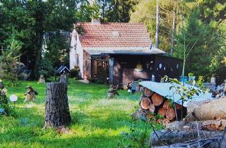 Grundstück zu kaufen in 06343 Mansfeld, Grüne Oase mit eigenem Wald und Bungalow in Mansfeld
