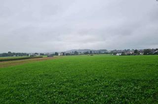 Grundstück zu kaufen in Burgweg, 82380 Peißenberg, Spekulationsgrundstück in Peißenberg