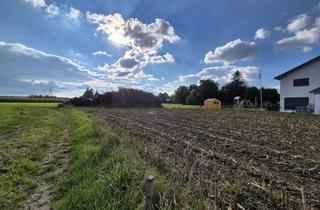 Grundstück zu kaufen in 85664 Hohenlinden, Kaufen, Bauen, Einziehen! Voll erschlossenes Baugrundstück mit Blick ins Grüne - Hohenlinden