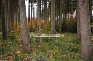 Immobilie kaufen in 86916 Kaufering, großzügiges Waldgrundstück im „Westerholz“